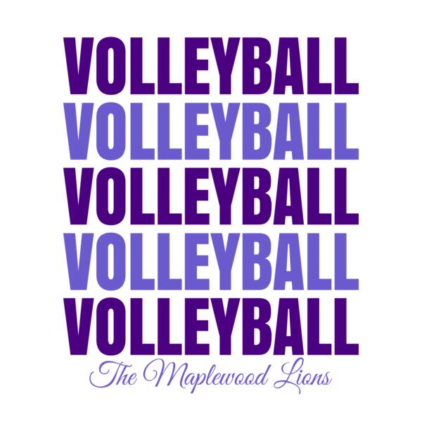 Volleyball 44 Miniatura