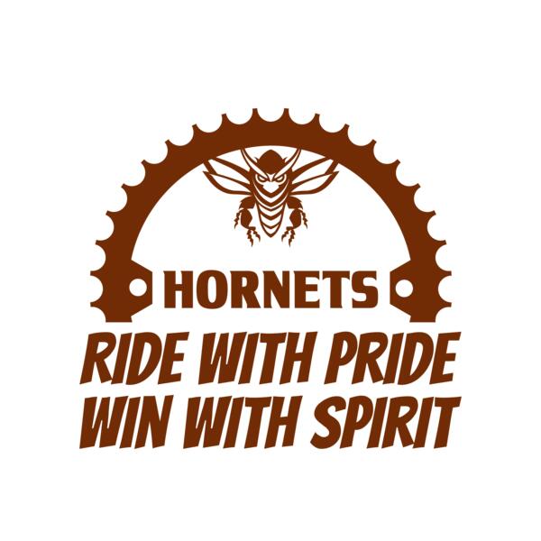 Bicycle 53 Miniatura